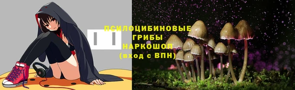гидропоника Арсеньев